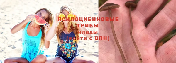 твердый Богородицк