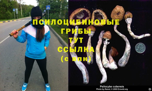 мет Богданович
