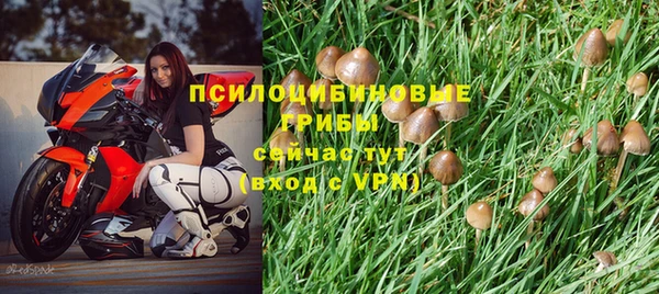 твердый Богородицк