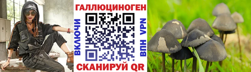 Галлюциногенные грибы Magic Shrooms  Бийск 